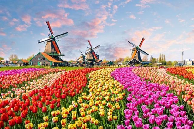 Vakantiehuisje in rustige en groene omgeving Nieuwe-Niedorp Buitenkant foto