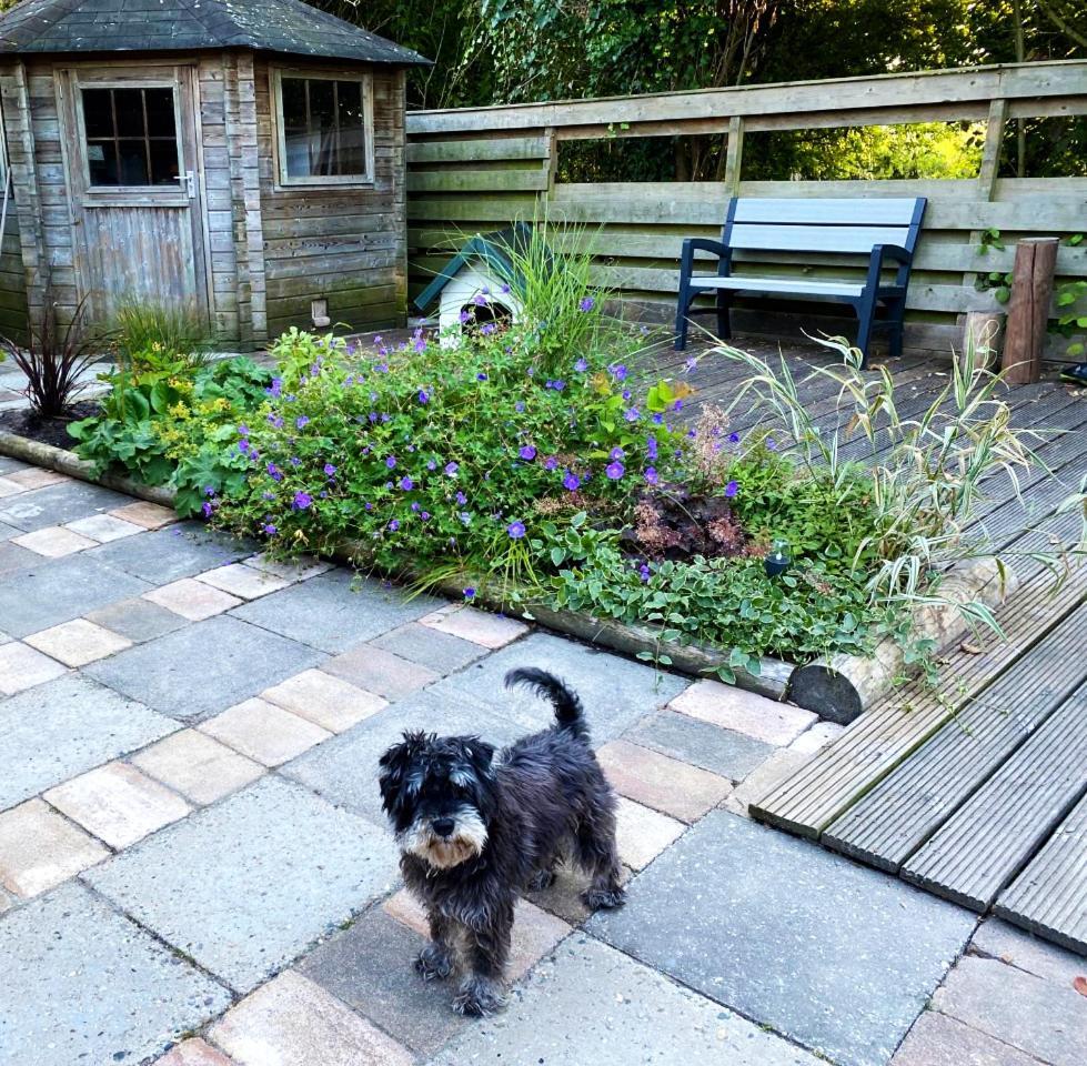 Vakantiehuisje in rustige en groene omgeving Nieuwe-Niedorp Buitenkant foto
